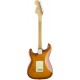 FENDER AMERICAN PERFORMER STRATO HONEY BURST RW tras