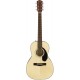 FENDER CP60S NATURAL WN front