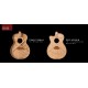 PRS SE T55E BLACK GOLD bracing