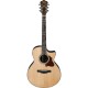 IBANEZ AE315ZR NATURAL HIGH GLOSS