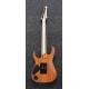 IBANEZ RGR5220M TFG tras