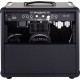 MESA BOOGIE RECTOVERB 25 1X12 COMBO