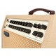 MESA BOOGIE ROSETTE 300 2X8 COMBO
