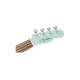 FENDER VENICE SOPRANO DAPHNE BLUE WN pala