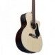 ALVAREZ RF27 CE REGENT FOLK