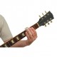 PLANET WAVES PWGS-B