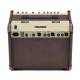 FISHMAN LOUDBOX ARTIST tras