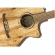 FENDER FA-345CE AUDITORIUM SPALTED MAPLE IL body