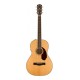 FENDER PM2 STANDARD PARLOR