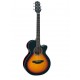 TAKAMINE GF15 CE SUNBURST