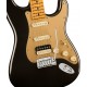 FENDER AMERICAN ULTRA STRATO HSS TT MP body