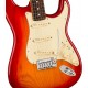 FENDER AMERICAN ULTRA STRATO PRB RW body