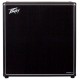 PEAVEY INVECTIVE 412