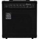 AMPEG BA-108 V2 B-STOCK