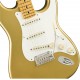 FENDER LINCOLN BREWSTER body