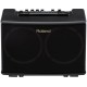 ROLAND AC40