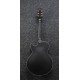 IBANEZ AG85 BKF tras