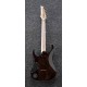 IBANEZ RG6PPBFX TSR tras