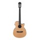 IBANEZ AEG7TN NT