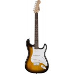 Brown Sunburst IL