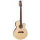 TAKAMINE TSP138C N