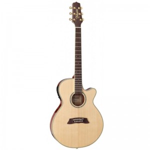 TAKAMINE TSP138C N