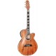 TAKAMINE TSP178AC KOA