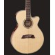 TAKAMINE TSP138C N