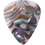 Medium abalone