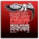 ERNIE BALL NICKEL WOUND CUSTOM GAUGE 12-54