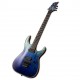 LTD H-1001FR VIOLET ANDROMEDA lat