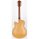 IBANEZ PM200 PAT METHENY SIGNATURE NATURAL body