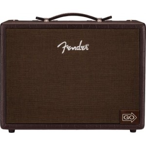 FENDER ACOUSTIC JR GO