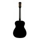 FENDER TIM ARMSTRONG ANNIVERSARY HELLCAT tras