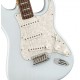 FENDER KENNY WAYNE SHEPHERD STRATOCASTER body