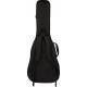 FENDER BUSKER DREADNOUGHT tras