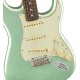 FENDER AMERICAN PRO II STRATO MSG RW body