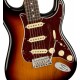 FENDER AMERICAN PRO II STRATO 3T SB RW body 