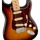 FENDER AMERICAN PRO II STRATO 3T SB MP body