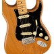 FENDER AMERICAN PRO II STRATO RP MP body