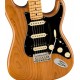 FENDER AMERICAN PRO II STRATO HSS RP MP body