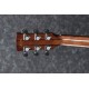 IBANEZ AWFS580CE OPS pala tras
