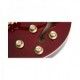 EPIPHONE RIVIERA CUSTOM P93 WINE RED pots