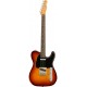 FENDER JASON ISBELL CUSTOM TELECASTER 