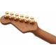 CHARVEL PRO MOD DK24 HSH 2PT CM pala tras