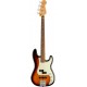 FENDER PLAYER PLUS PRECISION BASS 3T SB PF