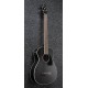 IBANEZ PNB14MH WK lat