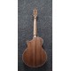 IBANEZ AE245JR OPN tras