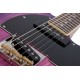 SCHECTER PT SPECIAL PBP detalle