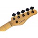 SCHECTER MODEL-T SESSION-5 ANS pala